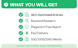 write SEO blog posts and articles that rank on google