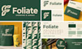 design brand guidelines, brand book and complete brand identity