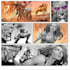 draw your comic book or webtoon cover