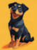 create a unique disney pet portrait