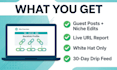 monthly SEO backlinks with drip feed link building