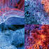 design scientific covers and graphical abstracts