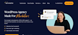 make wordpress website professional and fast