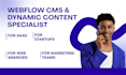 fix customize webflow cms collections dynamic pages for saas b2b companies etc