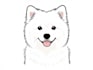 draw custom pet portrait in line art vector illustration