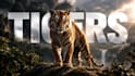 create cinematic 4k youtube thumbnails