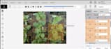 do image annotation data labeling bounding box text tagging