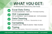 do data entry excel cleanup and pdf to excel conversion