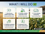 provide exclusive videos inside brazil grain warehouse classification