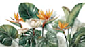 create custom flower and plant illustrations