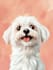 design a custom  pet portrait illustration