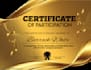 design professional award, diploma, completion certificate