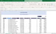 do professional data entry and excel expert task