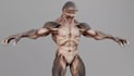 zbrush monster creature,clean uv map,humanoid gameplay,fantasy alien model,rig3d