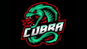 design  high  quality  snake  logo  and  serpent  mascot