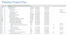 manage large complex IT projects delivery on time and budget
