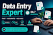 enter, clean and process data