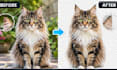 do professional background removal and image cutout