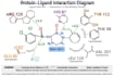 do molecular docking and protein ligand docking for drug discovery