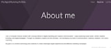 provide professional ecommerce customer support