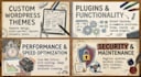 develop a professional, responsive and user friendly website