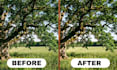 upscale enhance and convert low resolution image to 4k hd