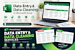 profesionaly do data entry and data deduplication