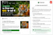 write engaging hindi blog articles and website content