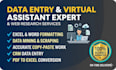 do expert data entry, virtual assistant, and excel data cleaning