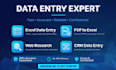 do fast data entry, typing, copy paste and excel work