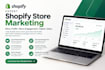 store optimization and promotion for ecommerce store and boost sales