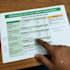 provide a customized ayurvedic holistic plan to improve health