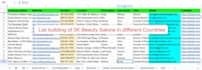 be your VA for data entry, lead generation, excel