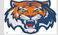 professionally digitize your embroidery design