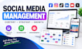 manage social media management with content strategy and scheduling