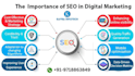 provide professional SEO services