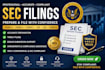 prepare sec filing amendments and edgar submission support