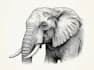 draw a hedcut wsj style animals character illustration
