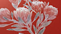 do botanical and anatomical scientific illustrations
