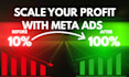 set up meta ads campaigns and audience targeting