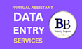 be your data entry expert