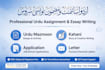 write professional urdu assignment, essay, story and application