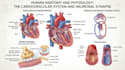 design medical and scientific illustration
