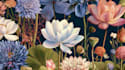 draw beautiful custom botanical illustrations for you