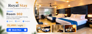 create a professional hotel management website with online booking