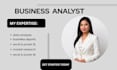 provide professional business analyst services