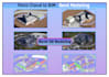 convert point cloud to revit 3d model and 2d drawings