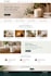 create a professional wix store for your brand