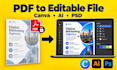convert pdf or image into editable canva, illustrator or photoshop file