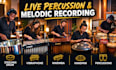 record professional steelpan, vibraphone, marimba, handpan and percussion